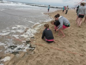 beachtoernooi vvs 3