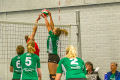 web-d1-20190928-7901