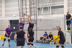 Recreatief toernooi 2026